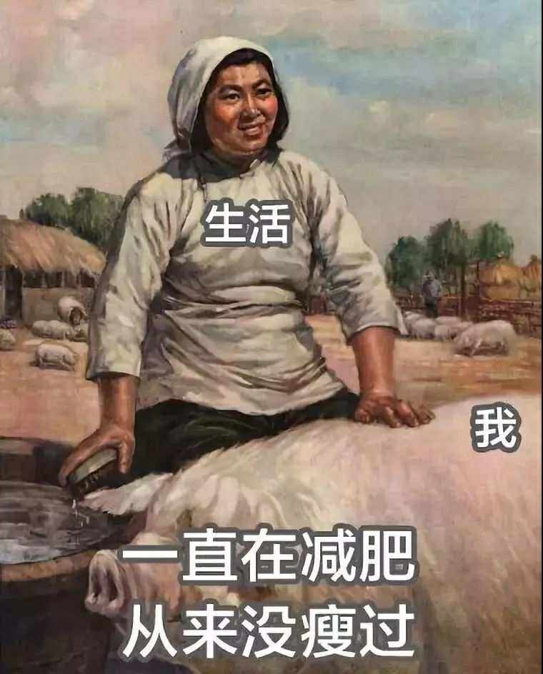 尚医减肥视频下载苹果版减肥小目标app下载苹果版