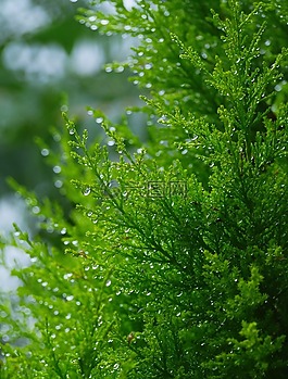 alzip安卓版za解压器手机版官方