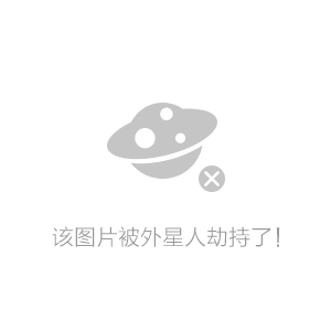 苹果12武汉版苹果12官网入口
