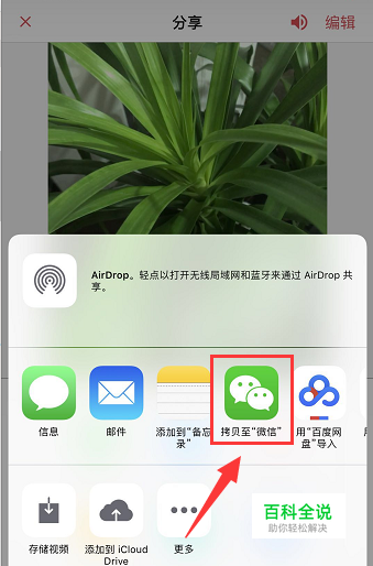 蜜live苹果版nbalive苹果版
