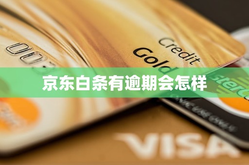 京东苹果手机公开版白条版的简单介绍