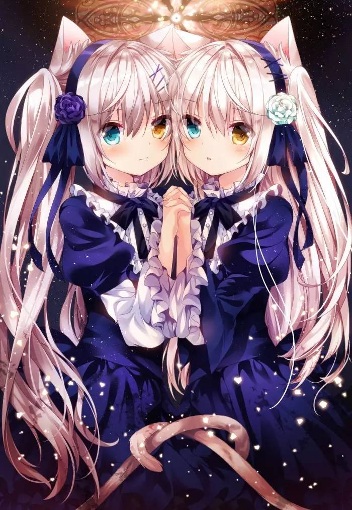 艹猫苹果版nekopara1安卓版-第2张图片-太平洋在线下载