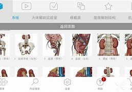 2018版人体安卓版人体生物三节律在线测算
