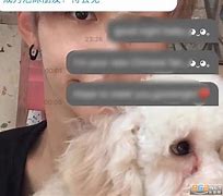 lysn安卓版lysn电脑版下载官方-第1张图片-太平洋在线下载