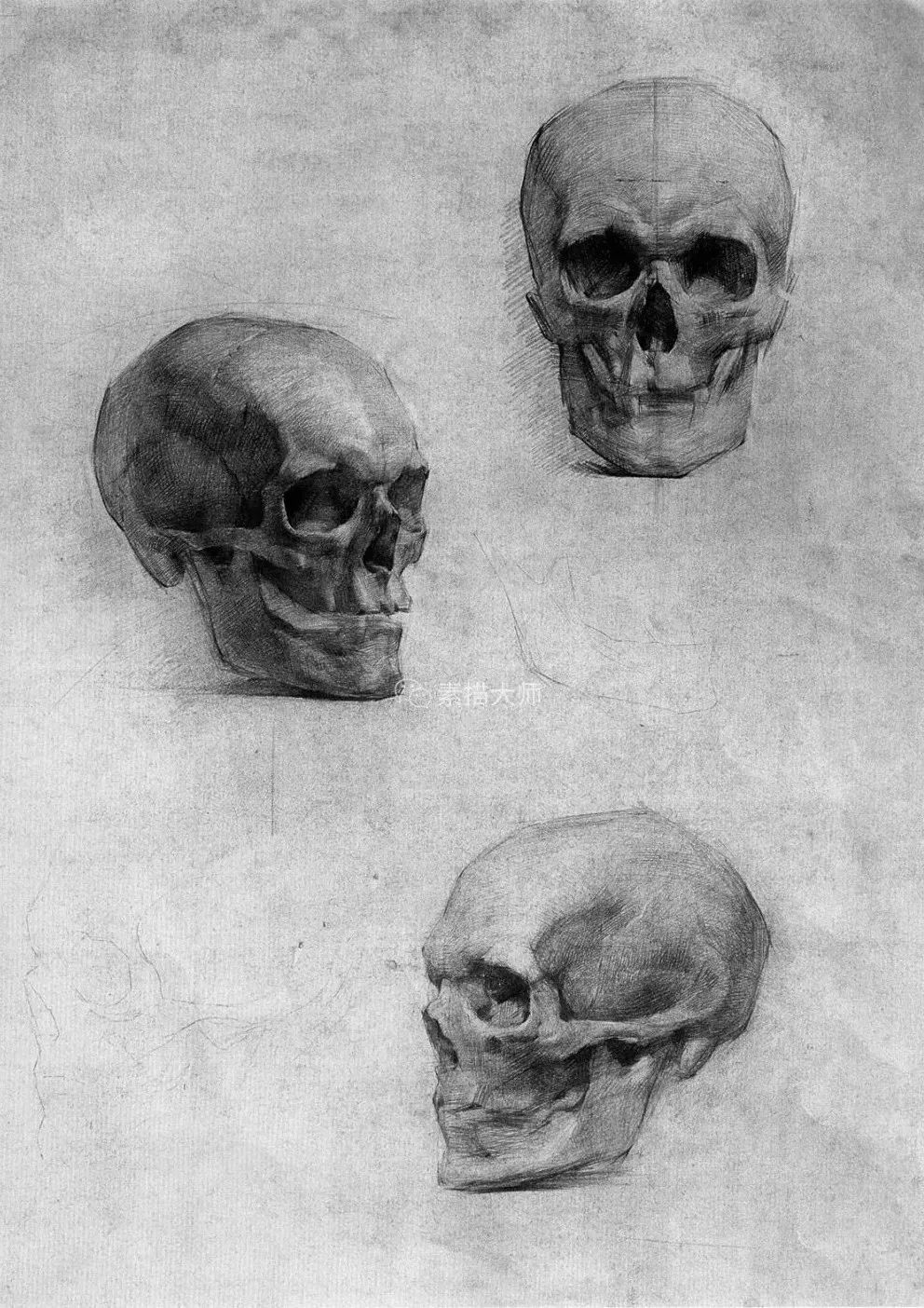 素描基础教程手机版零基础学画画入门自学