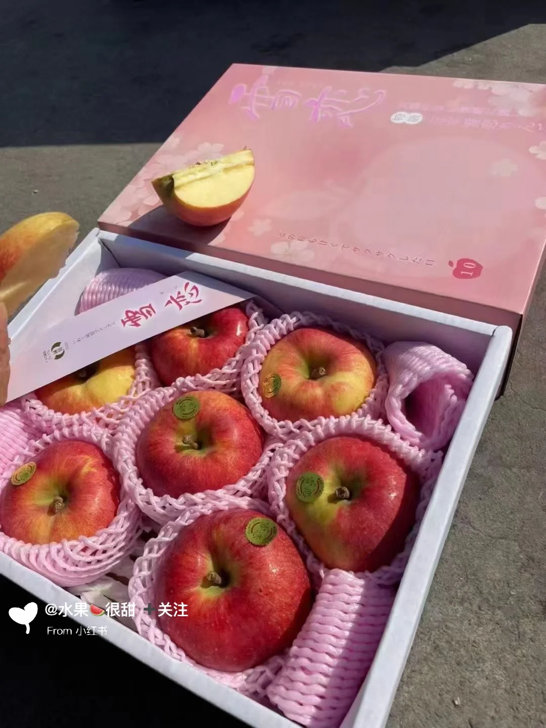 苹果之恋高潮版苹果iphone平板官网入口