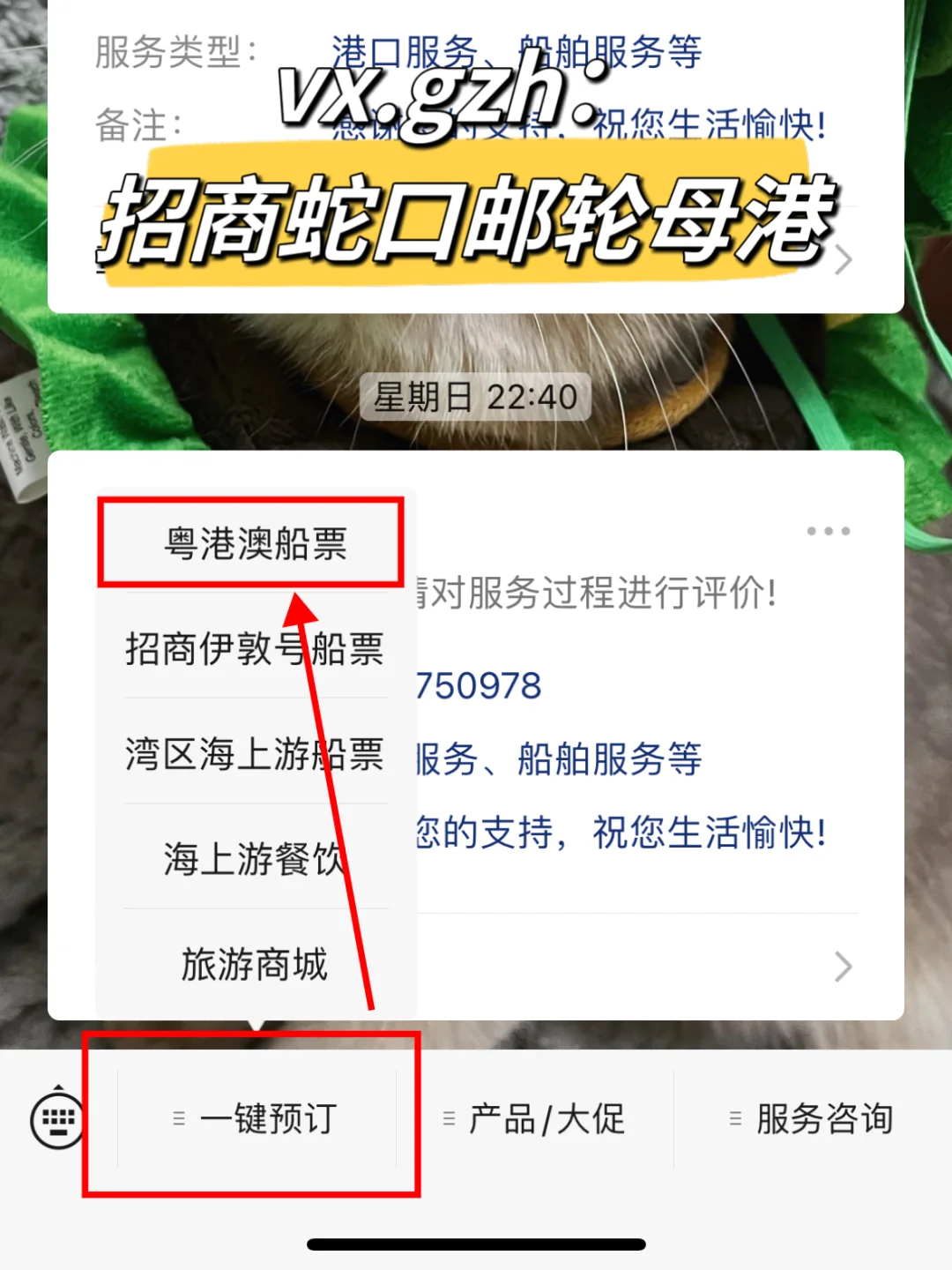 澳门攻略安卓版澳门旅游攻略小红书-第2张图片-太平洋在线下载