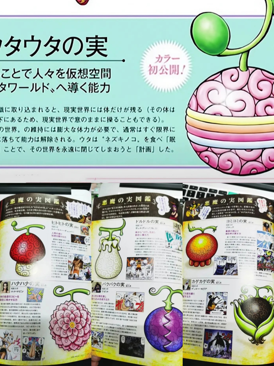 手机版恶魔果实可以开船吗恶魔果实时代开局选择幻兽种笔趣阁-第2张图片-太平洋在线下载