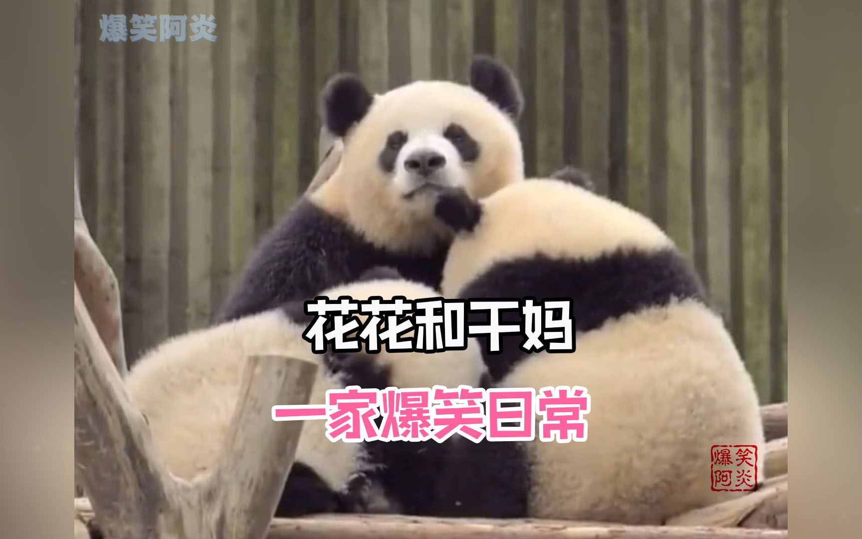 熊猫抓娃娃苹果版熊猫办公官网登录入口-第2张图片-太平洋在线下载