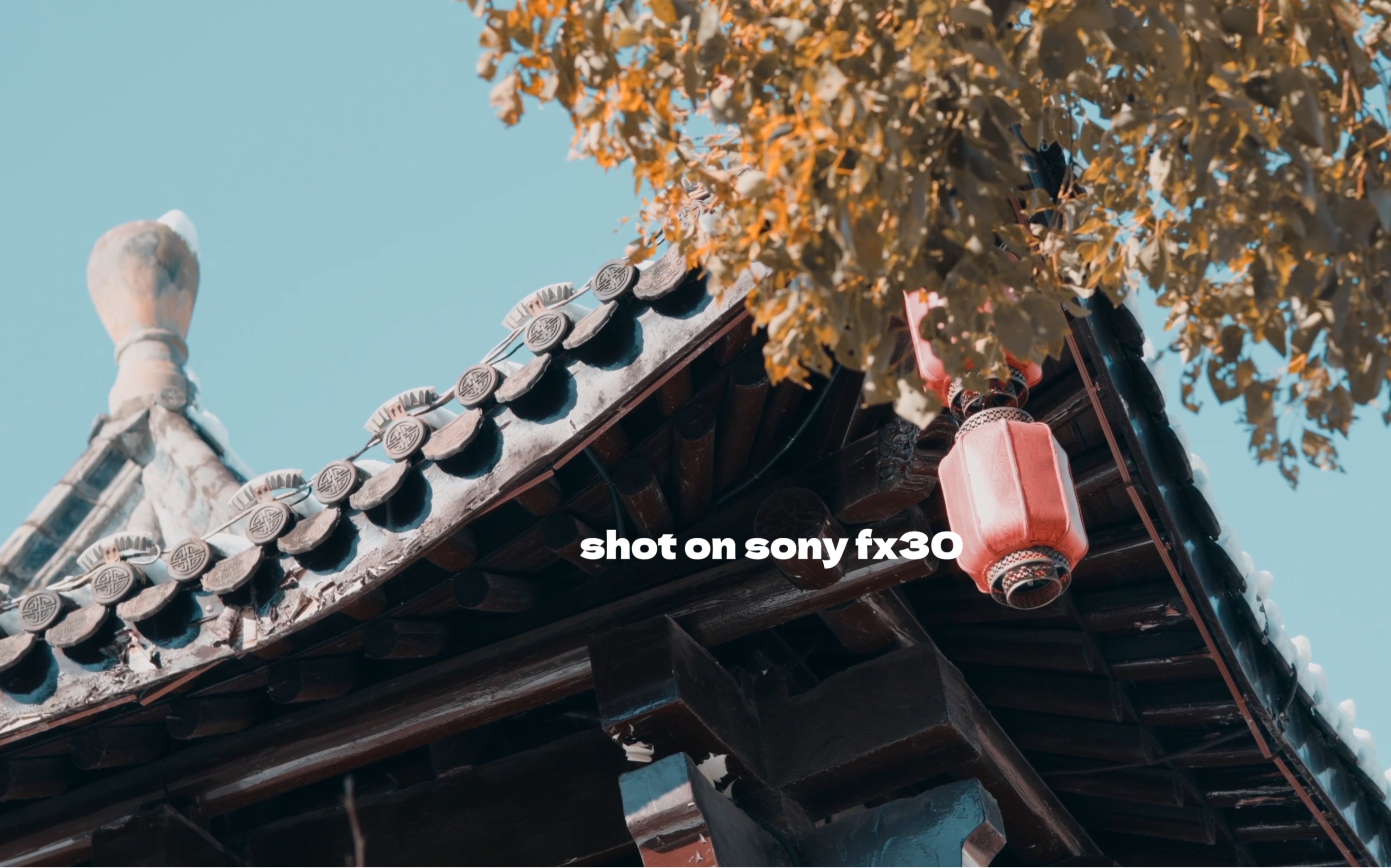 索尼自拍调色苹果版苹果手机原相机怎么调参数拍照好看-第2张图片-太平洋在线下载