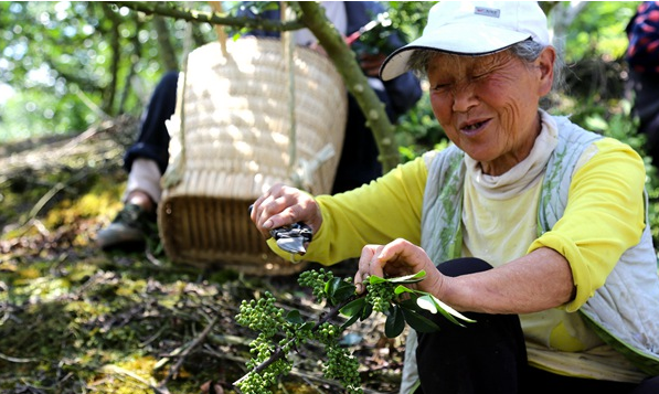 花椒客户端花椒直播网页版登录-第2张图片-太平洋在线下载