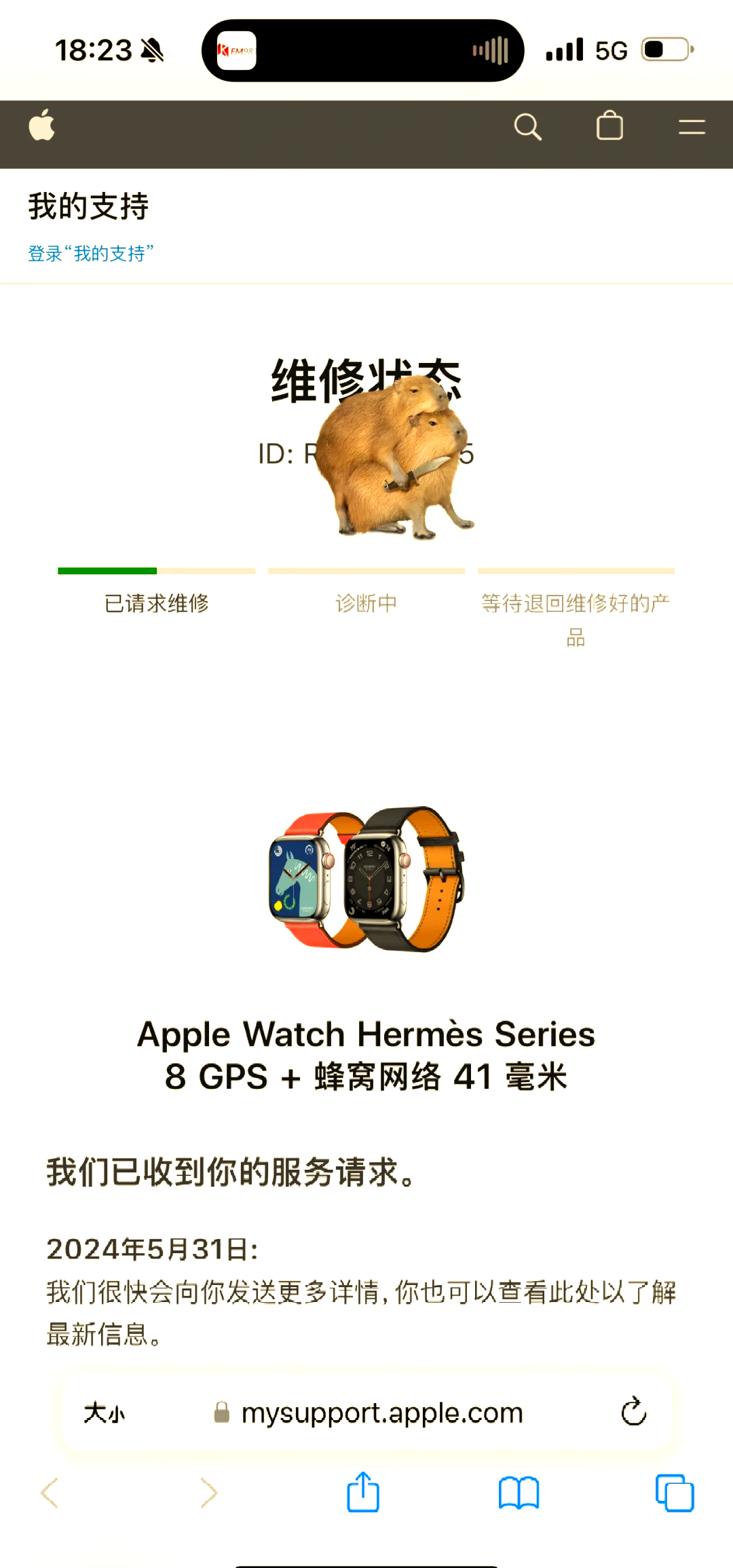 苹果手表怎么换中文版苹果手机怎么恢复成中文版-第2张图片-太平洋在线下载