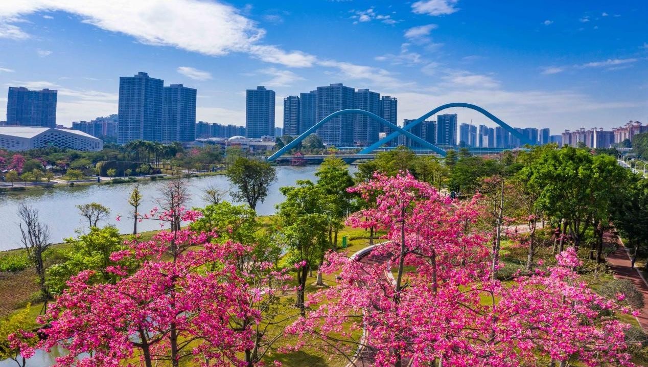 滨海客户端滨海软盾电脑版下载最新版-第2张图片-太平洋在线下载
