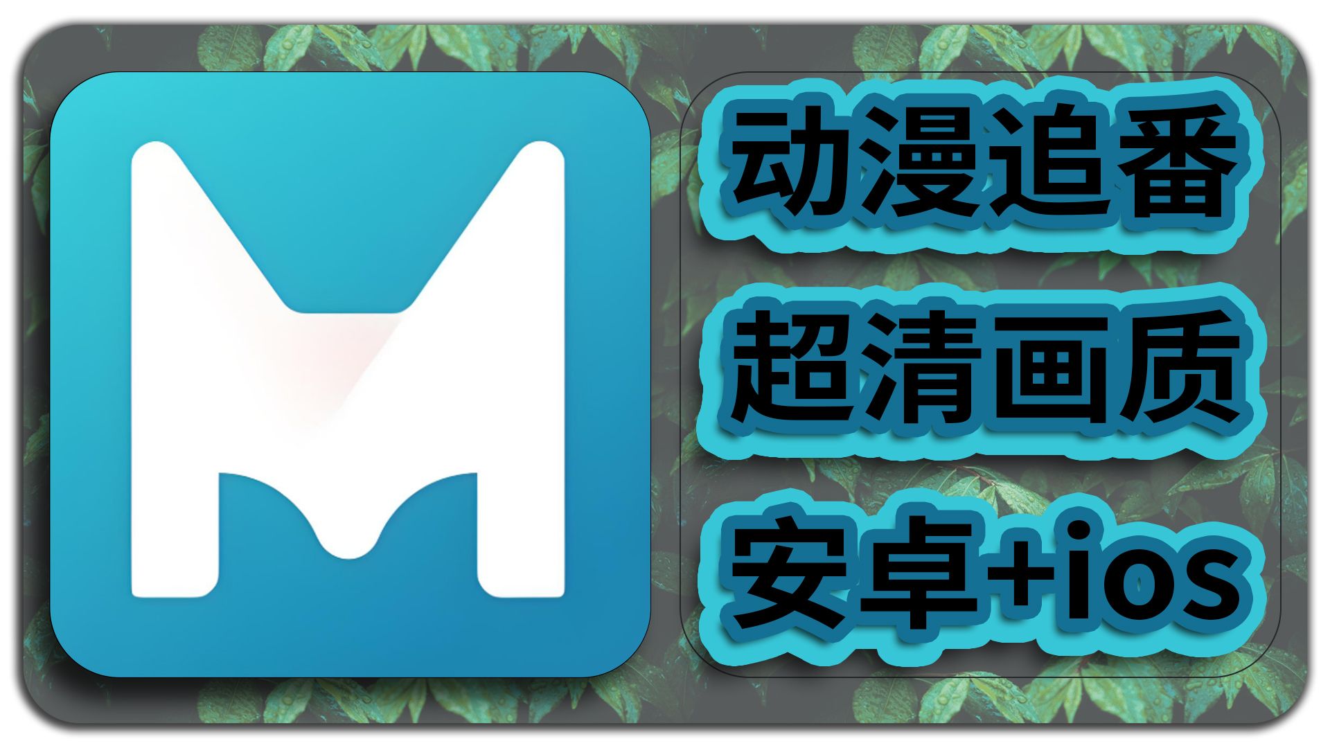 速速动漫安卓版速速动漫樱花动漫官网在线观看-第2张图片-太平洋在线下载