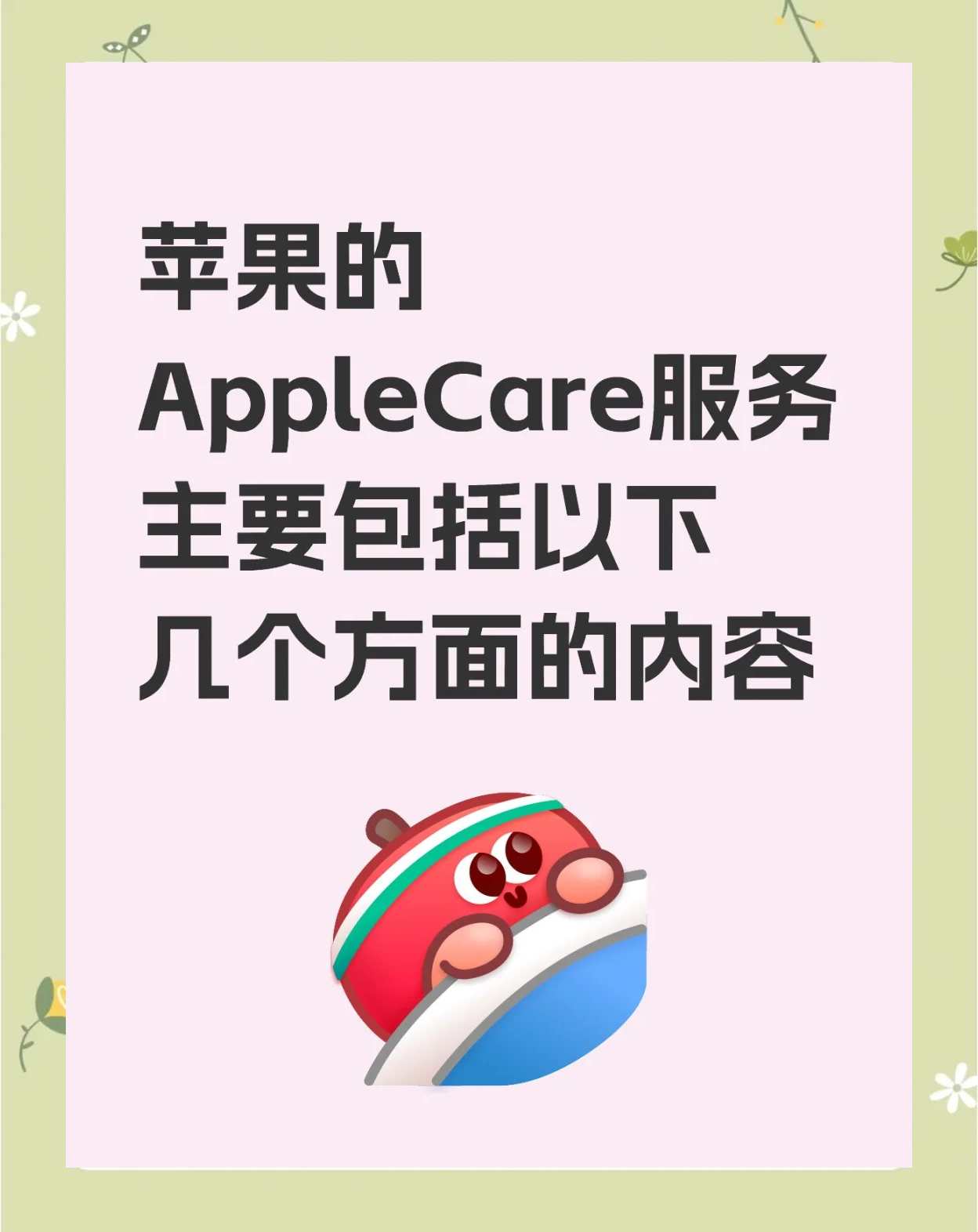 苹果官方applecare版和公开版applecare是什么服务有必要买吗